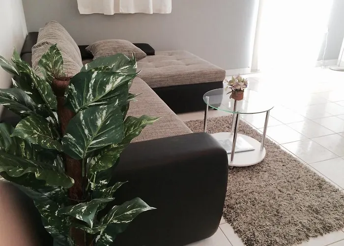 Doni * ז'אבוריץ'