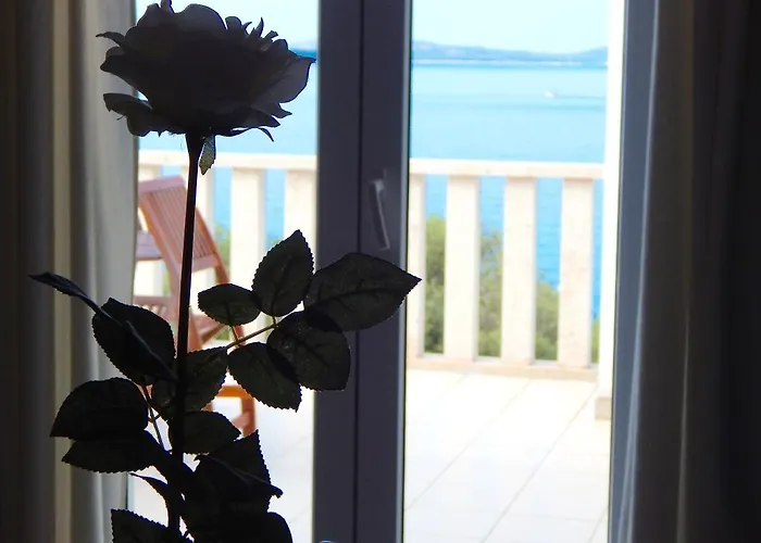 Doni * ז'אבוריץ'