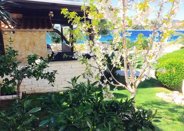 דירה Doni ז'אבוריץ'